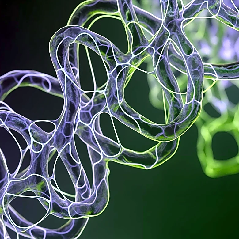 PolyU Develops Protein-Based Data Storage to Address AI-Driven Data Surge