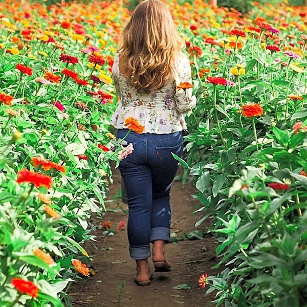 Delight Flower Farm Offers Seasonal Blooms and Local Goods in Champaign