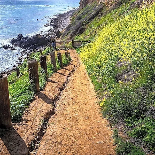 Los Angeles Times Highlights Scenic Hikes Near L.A. Beaches for Outdoor Enthusiasts