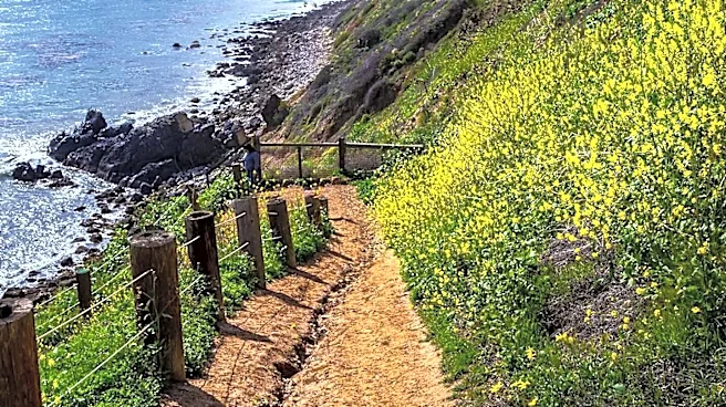 Los Angeles Times Highlights Scenic Hikes Near L.A. Beaches for Outdoor Enthusiasts