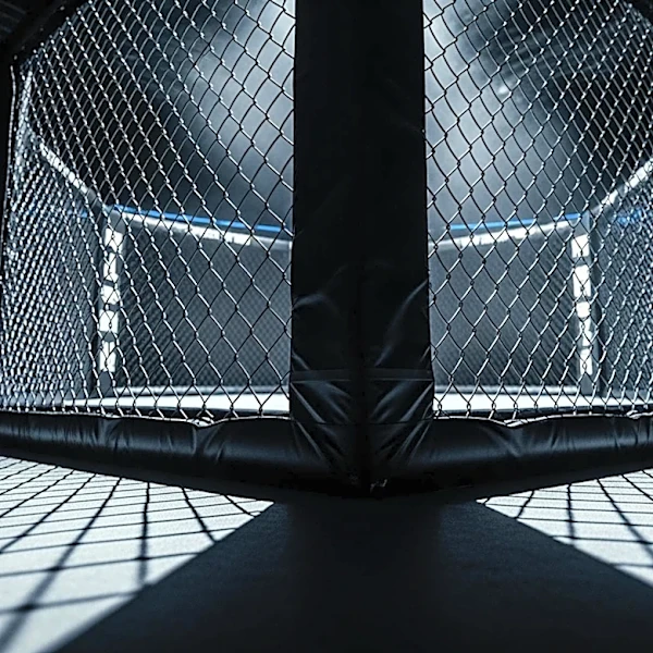Road to UFC Season 5 Kicks Off with Exciting Opening Rounds