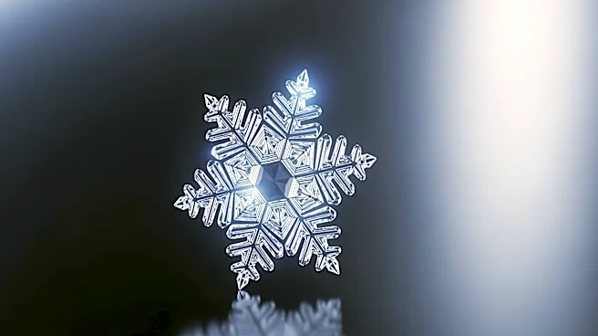 Snowflake's Stock Soars 36% Amid AI Strategy Success and Software Sector Rally