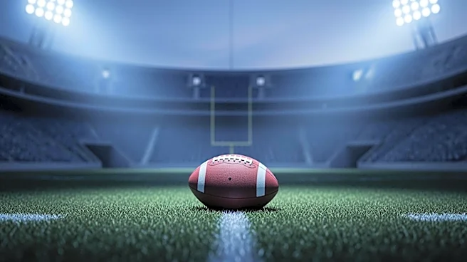 Analyst Raises Concerns Over Pittsburgh Steelers' AFC North Prospects in 2026