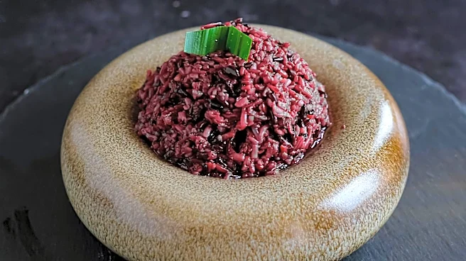 Chef Yvan Lemoine Elevates Dining Experience at Tourmaline in Queens