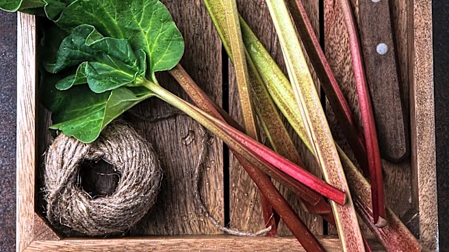 Warrensburg's Annual Rhubarb Festival Celebrates Community and Local Agriculture