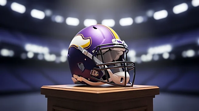 Minnesota Vikings Induct Adrian Peterson into Ring of Honor, Hall of Fame Next