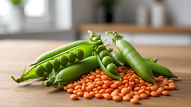 Kale Foods Acquires Swedish Plant-Based Brand Färsodlarna to Expand Market Reach