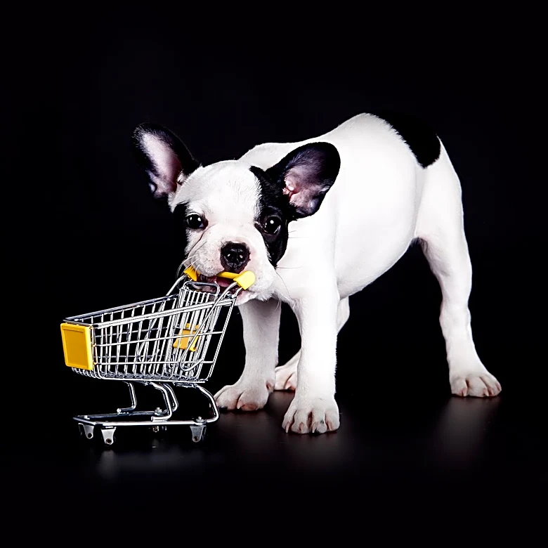 Shop With Your Dog Day Encourages Participation in 'Caring Canines' Program