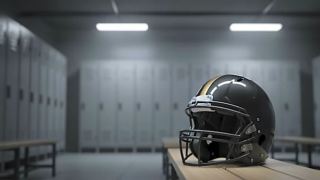 Pittsburgh Steelers Fire Derius Swinton for Workplace Misconduct