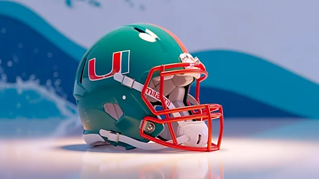 Miami Dolphins Fans Share Personal Victories in Weekly Open Thread
