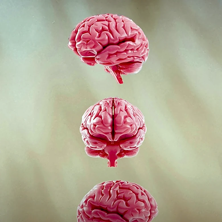 Maria Shriver Advocates for Women's Brain Health Amid Alzheimer's Concerns