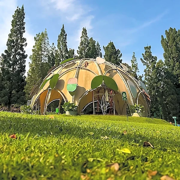 Foam Dome Home in Florida Listed for Sale, Showcasing Sustainable Construction