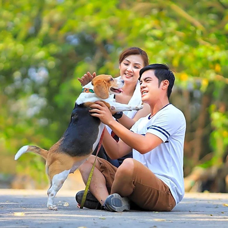 Pets Influence Modern Dating Dynamics, Creating New Compatibility Challenges