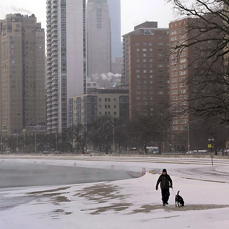 Chicago's Annual BARK Event Promotes Animal Welfare with Lakefront Walk
