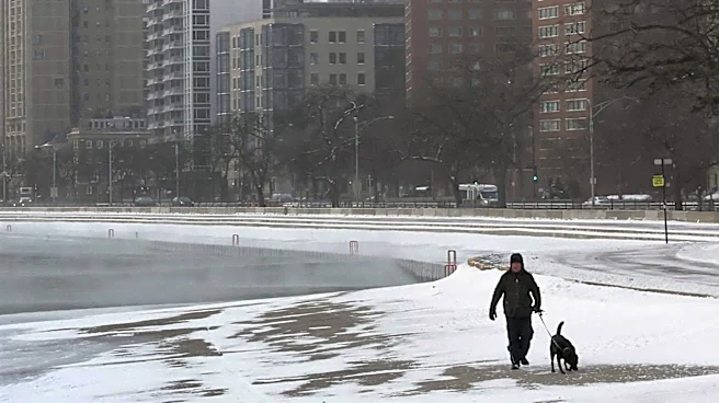 Chicago's Annual BARK Event Promotes Animal Welfare with Lakefront Walk