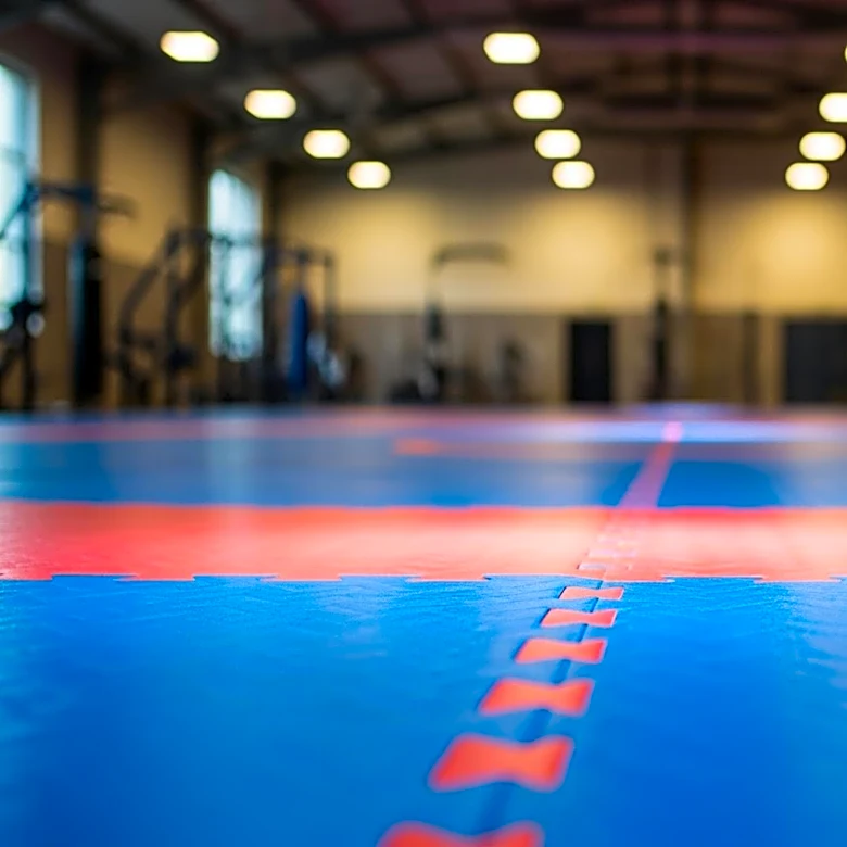 Local Program in Sacramento Teaches Kids Wrestling Techniques