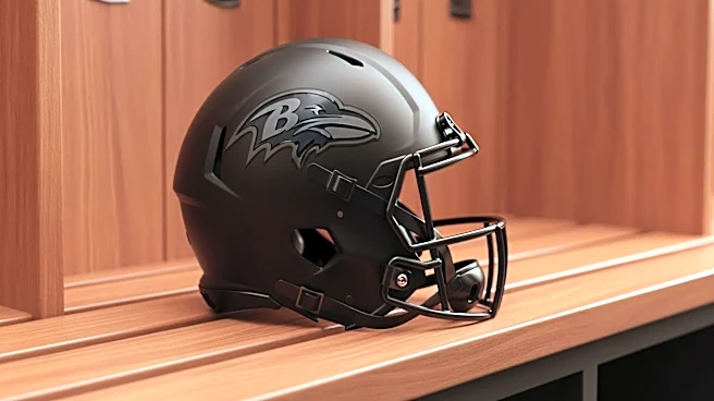Baltimore Ravens Rookies Positioned for Success with Veteran Mentorship