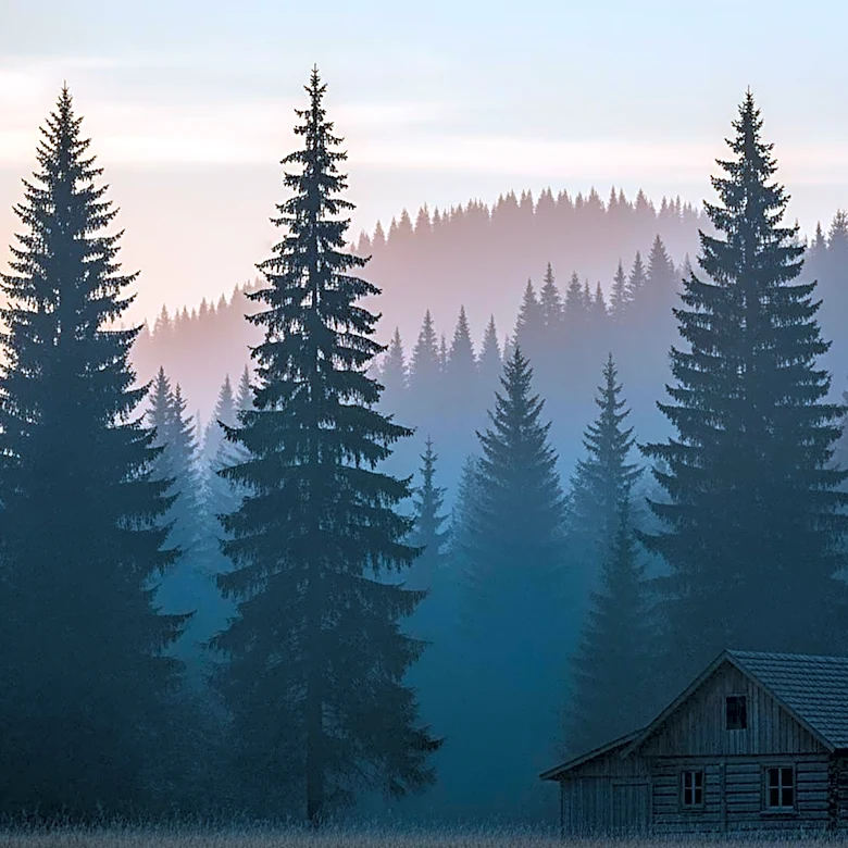 Reality Star Matt Brown of 'Alaskan Bush People' Found Dead in Washington State