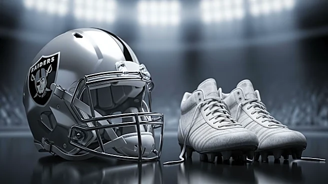 Fernando Mendoza Aids Former Teammate's Bid for Las Vegas Raiders Roster Spot