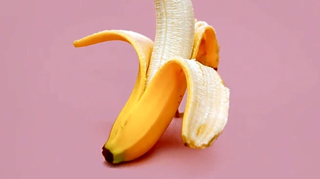 Cattelan's 'Comedian' Banana Stolen from Centre Pompidou-Metz Exhibition