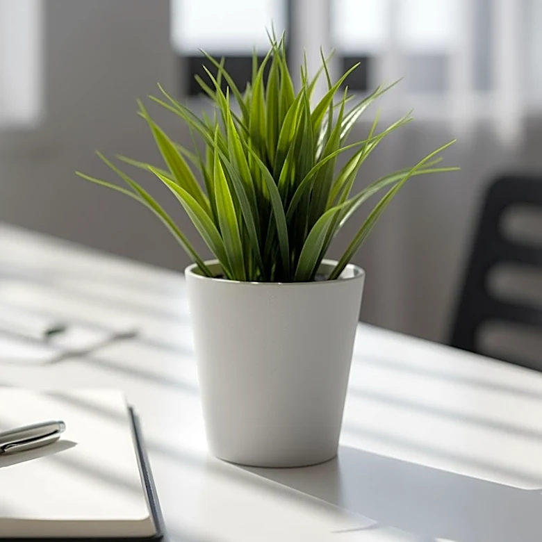 Keisha Toussaint Launches Employee-Centric HR Company Amidst Industry Challenges
