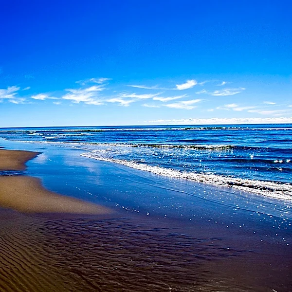 East Hampton's Main Beach Ranked Among Top 10 Best U.S. Beaches by Dr. Beach