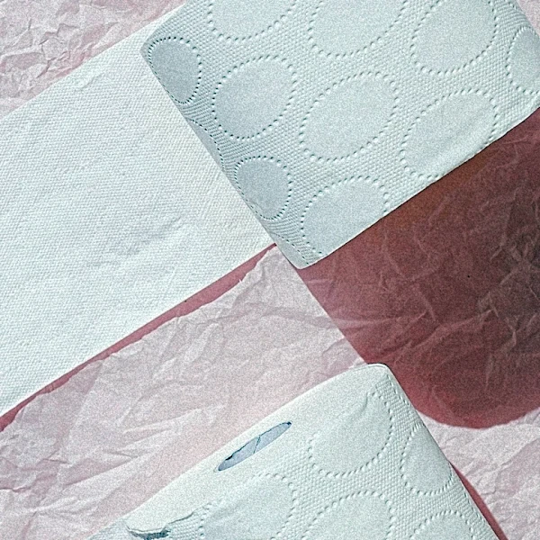 Charmin's 'Forever Roll' Gains Popularity for Longevity and Novelty