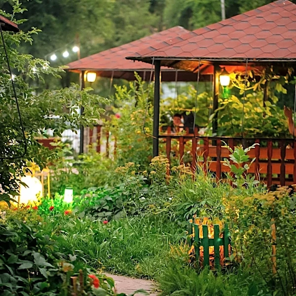 Gardening Enthusiasts Embrace 10-Minute Evening Routine for Outdoor Space Improvement