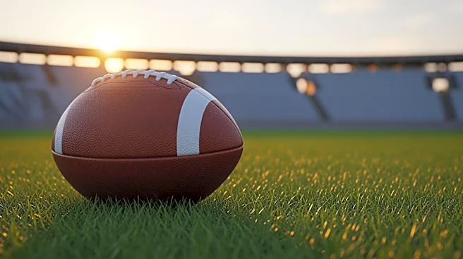 Minnesota Golden Gophers Freshmen Poised to Impact 2026 Football Season