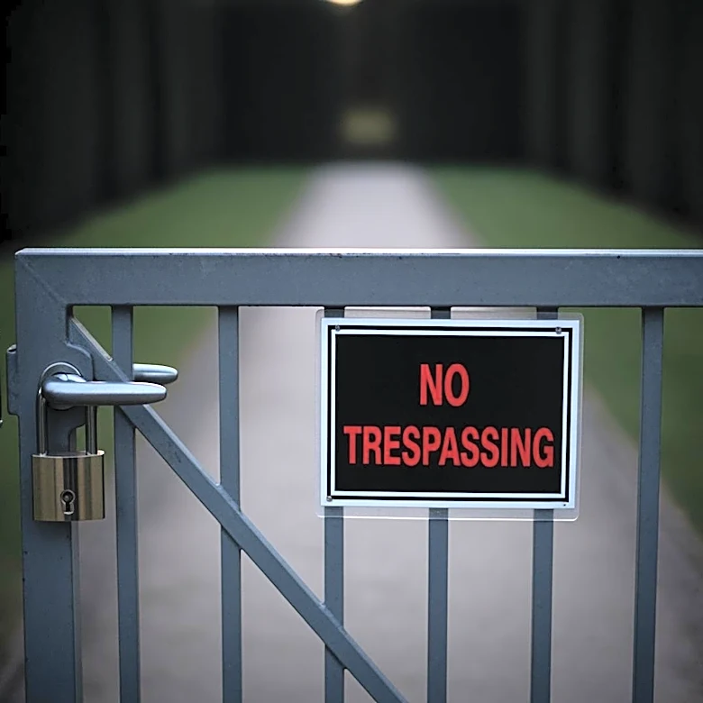 Sabrina Carpenter Files Restraining Order Against Repeated Trespasser