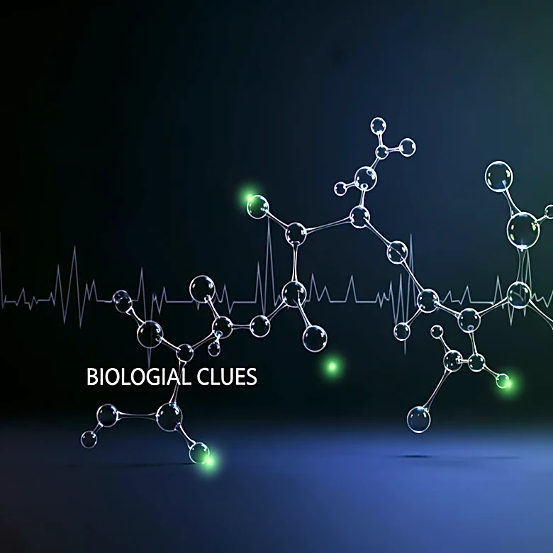 PromptSE AI Enhances Drug Safety by Predicting Side Effects Through Biological Clues