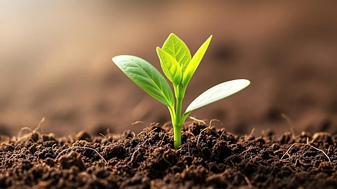 Nestlé Shifts Strategy to Focus on Real Internal Growth and Brand Investment