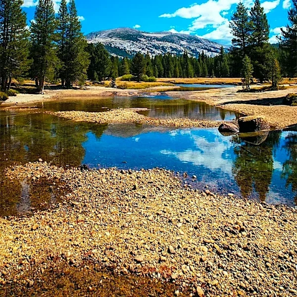 Domestic Travel Rises Amid Political Anxiety, Offering Nature Getaways in the U.S.