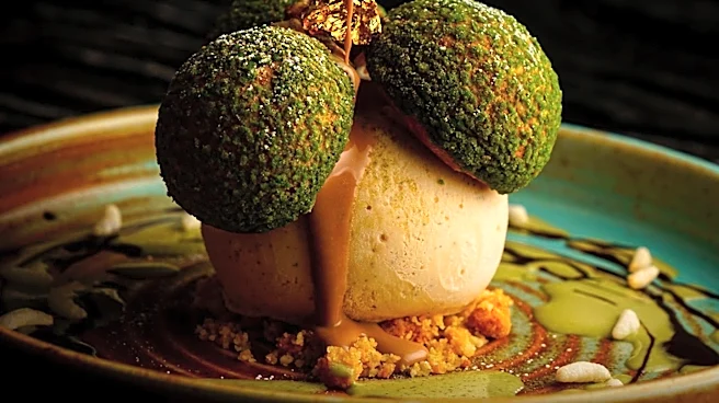 Michelin and TV Chefs Transform Israeli Culinary Scene with New Ventures