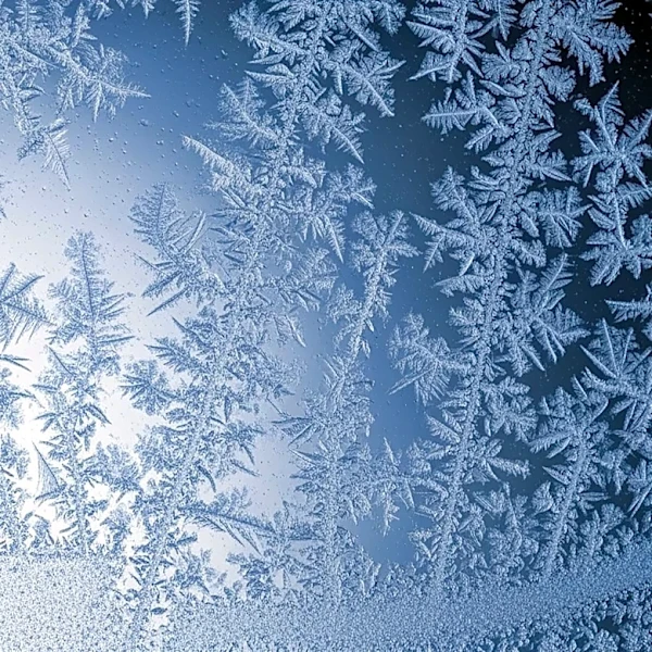 Illinois Researchers Discover New Frost Propagation Mechanism