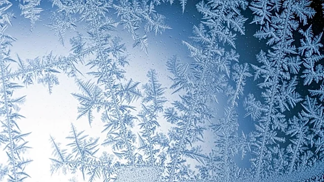 Illinois Researchers Discover New Frost Propagation Mechanism