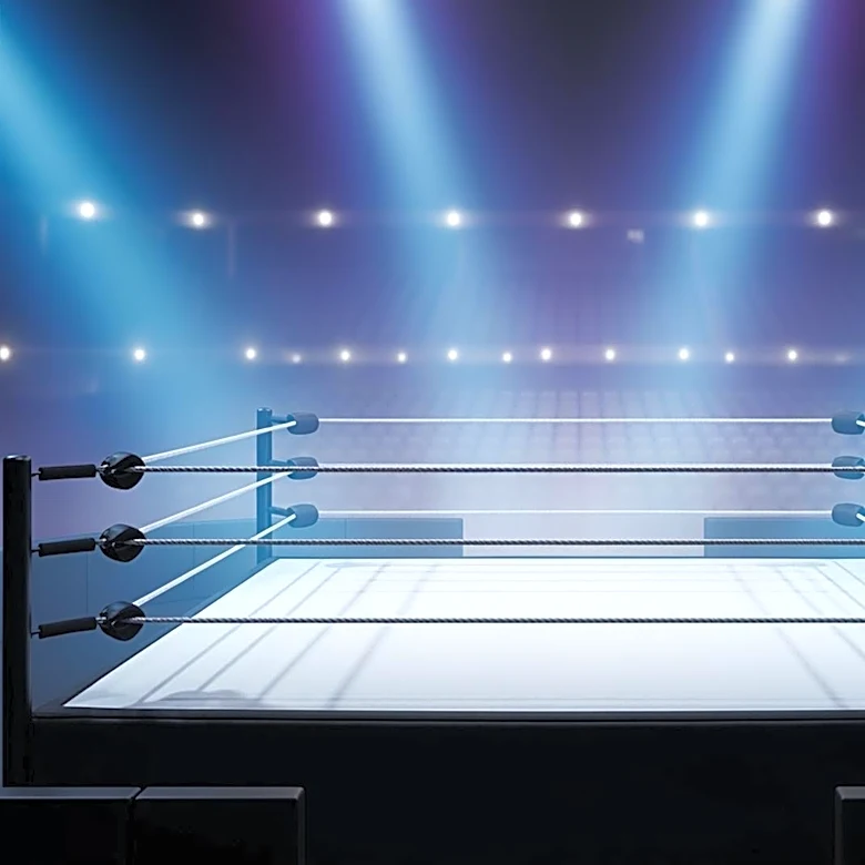 NXT Faces Transition as New Talent Emerges Amidst Roster Changes