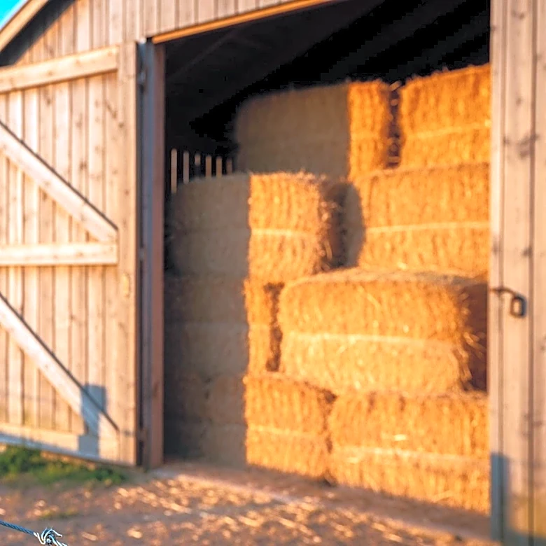Autauga Farming Company Honored as BIF Commercial Producer of the Year for Beef Industry Contributions
