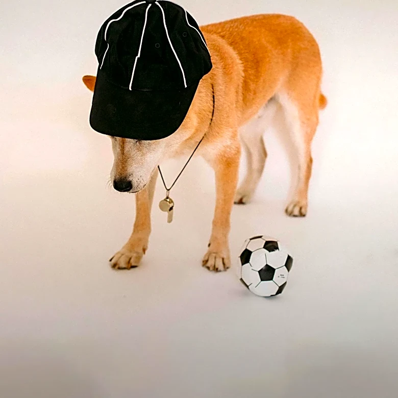 Stanley Pup Rescue Dog Competition to Premiere During Stanley Cup Final