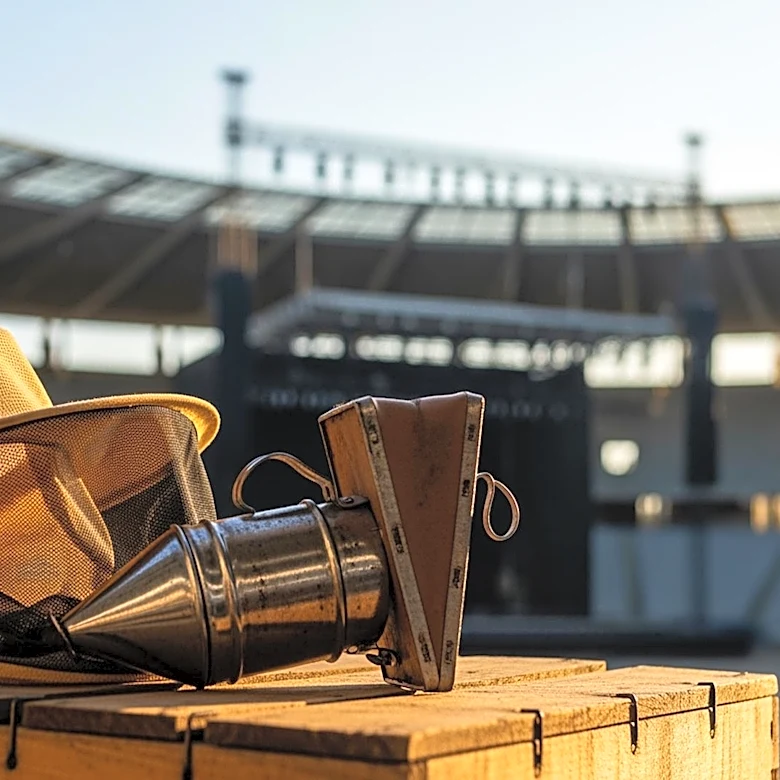 Bees Removed from Pittsburgh Stadium Ahead of Morgan Wallen Concerts