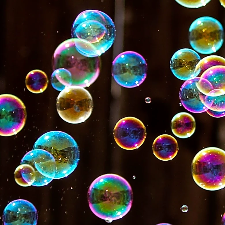 Chicago Botanic Garden Launches 'Shimmering Summer' Exhibit Featuring Bubble Sculptures