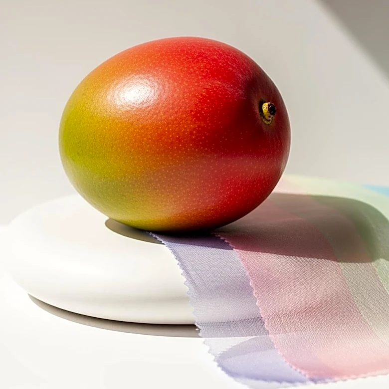 Mango Collaborates with Eckhaus Latta for Summer Capsule Collection, Expanding Reach