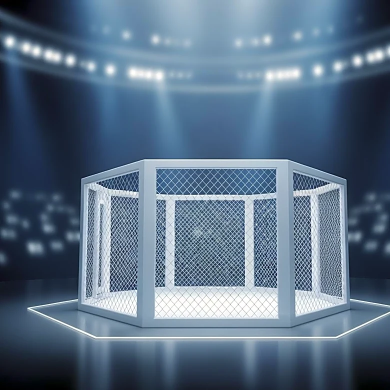 Paramount and UFC Announce Exclusive Partnership for Canadian Market Starting 2027