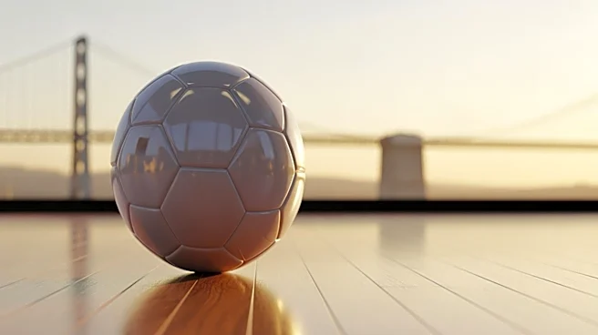 Former Australian Soccer Captain Discusses Team's Bay Area World Cup Base