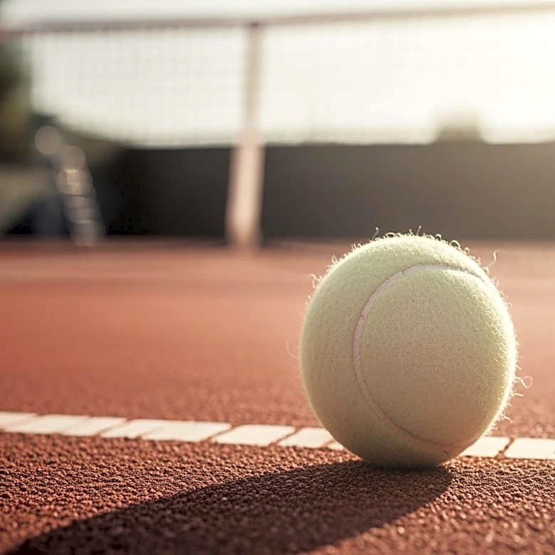 Maja Chwalinska Reaches French Open Final, Stuns Diana Shnaider