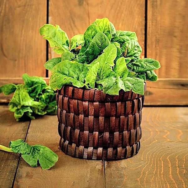 Nutrition Experts Highlight Benefits of Kale and Spinach for Health