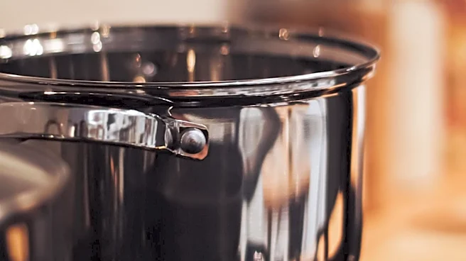 Oxo Stainless Steel Pan Tops Consumer Reports Rankings for Performance