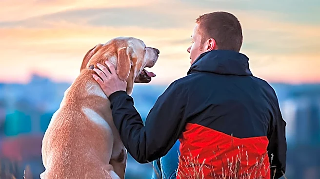 Experts Highlight Stress and Benefits of Pet Ownership on Mental Health