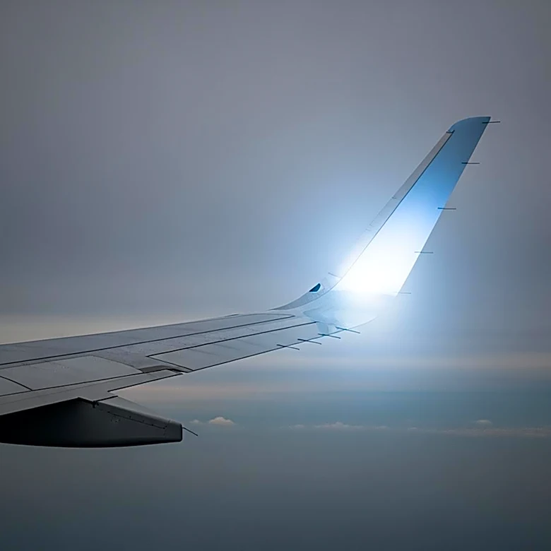 IndiGo Airlines Suspends International Routes Amid Cost Challenges