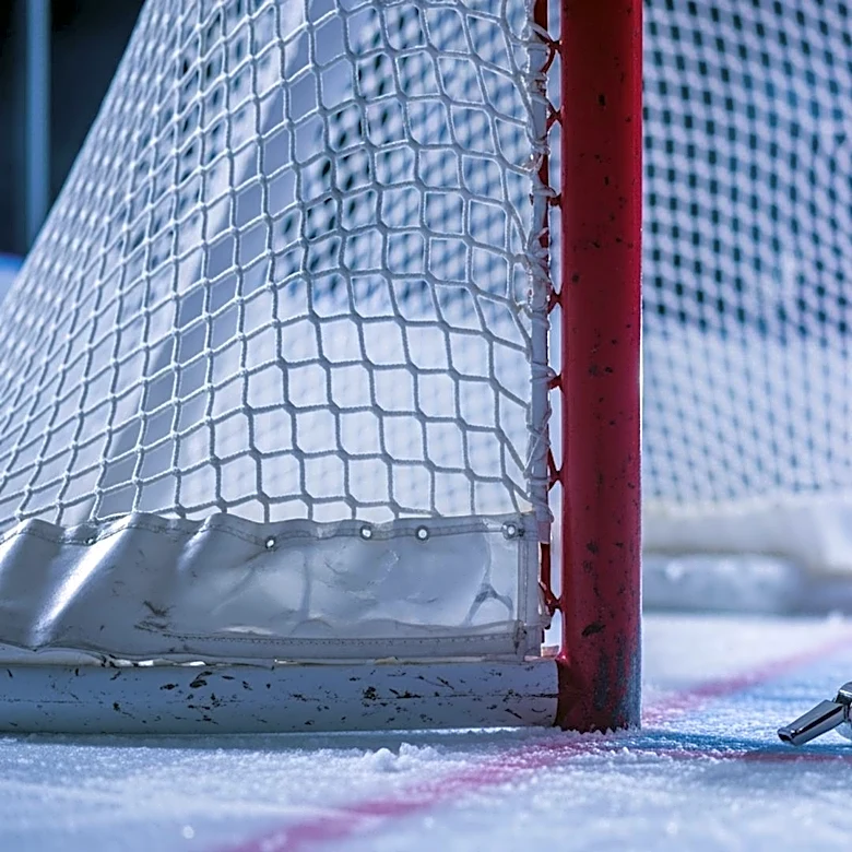 John Tortorella's Challenge on Disallowed Goal Fails in Stanley Cup Final Game 2